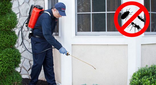 Maden Hamam Böceği İlaçlama böcek ilaçlama ve haşere kontrolü — ilaclama-tr.com